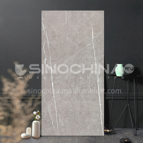 Simple and modern living room tile bathroom balcony wall tile-SKL48YD066F 400*800mm